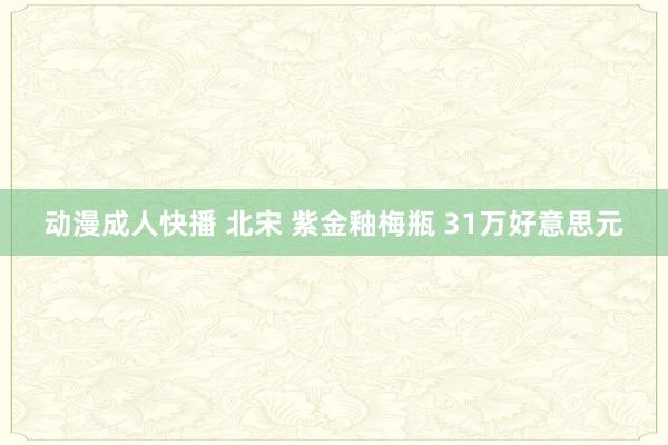 动漫成人快播 北宋 紫金釉梅瓶 31万好意思元