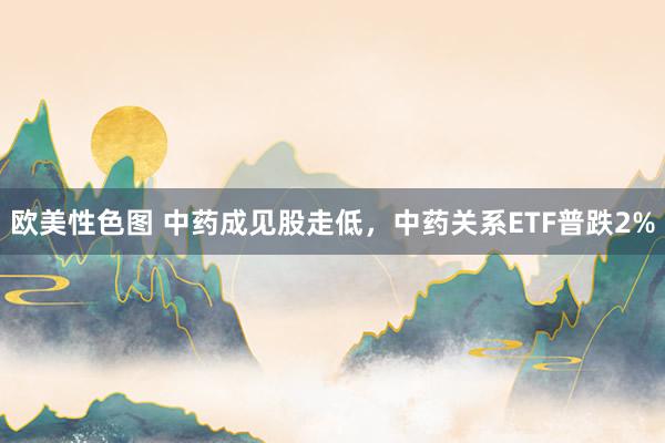 欧美性色图 中药成见股走低，中药关系ETF普跌2%