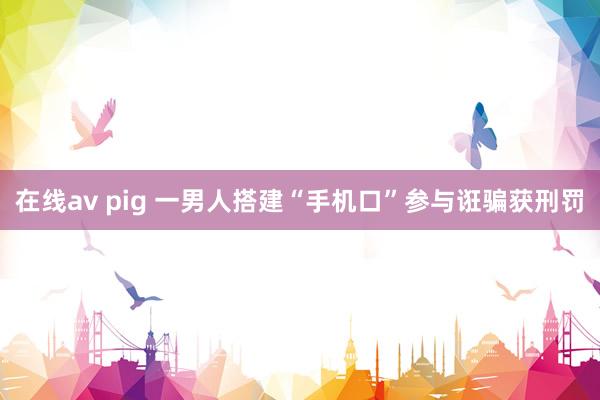 在线av pig 一男人搭建“手机口”参与诳骗获刑罚