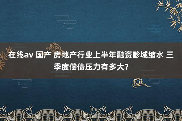 在线av 国产 房地产行业上半年融资畛域缩水 三季度偿债压力有多大？