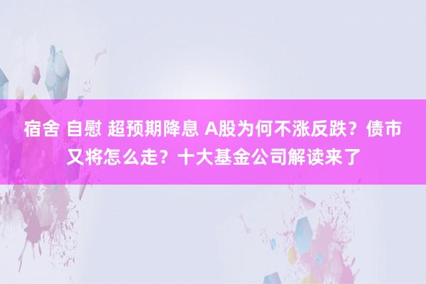 宿舍 自慰 超预期降息 A股为何不涨反跌？债市又将怎么走？十大基金公司解读来了