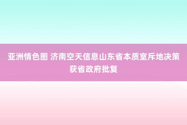 亚洲情色图 济南空天信息山东省本质室斥地决策获省政府批复