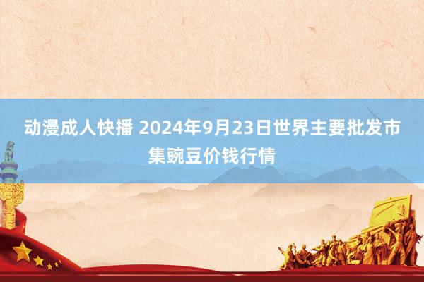 动漫成人快播 2024年9月23日世界主要批发市集豌豆价钱行情