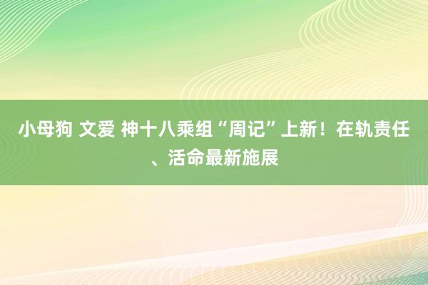 小母狗 文爱 神十八乘组“周记”上新！在轨责任、活命最新施展