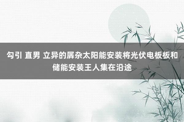 勾引 直男 立异的羼杂太阳能安装将光伏电板板和储能安装王人集在沿途