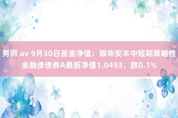 男同 av 9月30日基金净值：银华安丰中短期策略性金融债债券A最新净值1.0493，跌0.1%