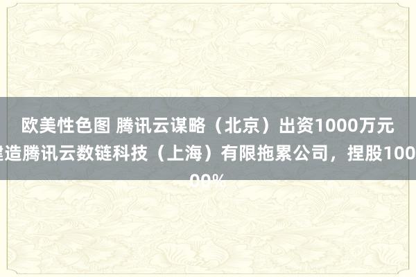 欧美性色图 腾讯云谋略（北京）出资1000万元建造腾讯云数链科技（上海）有限拖累公司，捏股100%