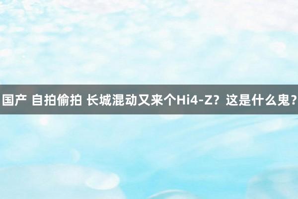 国产 自拍偷拍 长城混动又来个Hi4-Z？这是什么鬼？