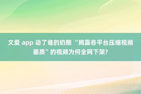 文爱 app 动了谁的奶酪 “揭露各平台压缩视频画质”的视频为何全网下架?