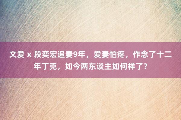 文爱 x 段奕宏追妻9年，爱妻怕疼，作念了十二年丁克，如今两东谈主如何样了？