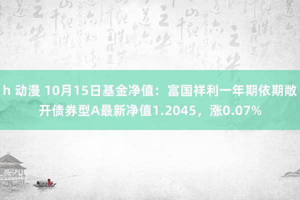 h 动漫 10月15日基金净值：富国祥利一年期依期敞开债券型A最新净值1.2045，涨0.07%