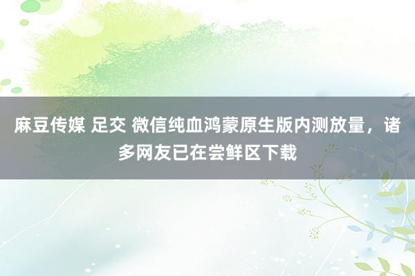 麻豆传媒 足交 微信纯血鸿蒙原生版内测放量，诸多网友已在尝鲜区下载