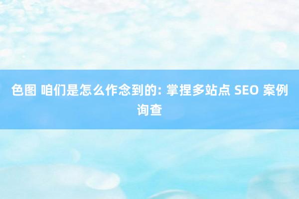 色图 咱们是怎么作念到的: 掌捏多站点 SEO 案例询查