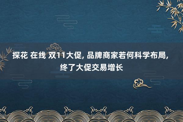 探花 在线 双11大促， 品牌商家若何科学布局， 终了大促交易增长