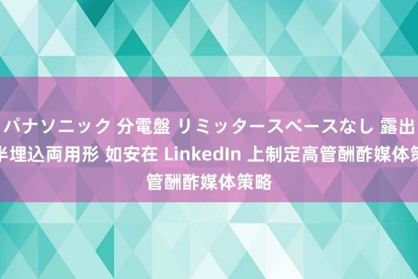 パナソニック 分電盤 リミッタースペースなし 露出・半埋込両用形 如安在 LinkedIn 上制定高管酬酢媒体策略