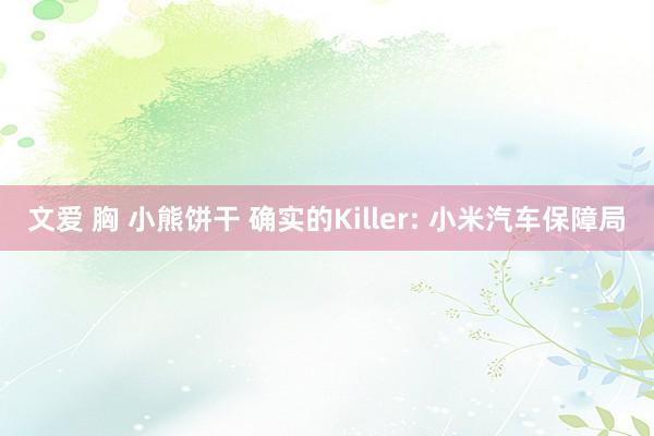 文爱 胸 小熊饼干 确实的Killer: 小米汽车保障局