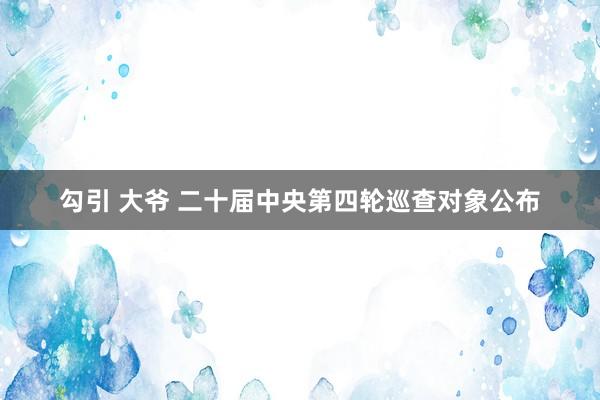 勾引 大爷 二十届中央第四轮巡查对象公布