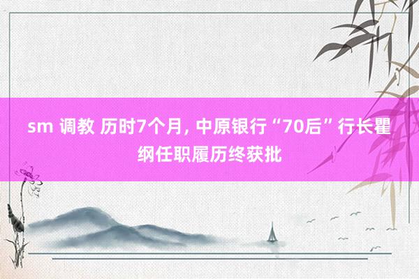 sm 调教 历时7个月， 中原银行“70后”行长瞿纲任职履历终获批