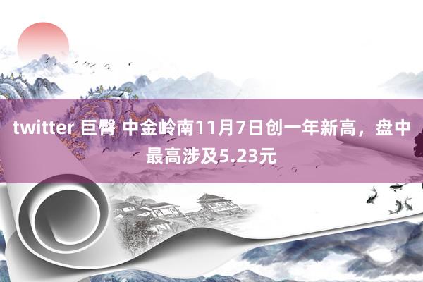 twitter 巨臀 中金岭南11月7日创一年新高，盘中最高涉及5.23元