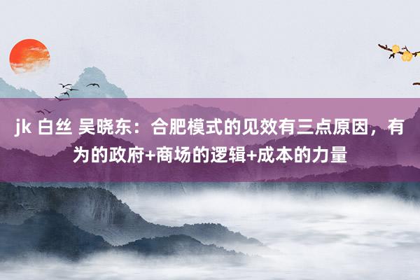 jk 白丝 吴晓东：合肥模式的见效有三点原因，有为的政府+商场的逻辑+成本的力量