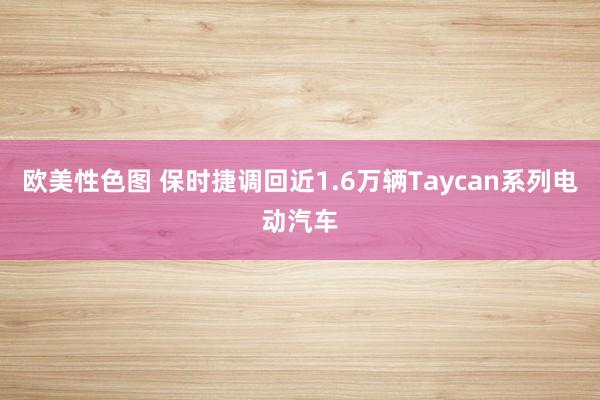 欧美性色图 保时捷调回近1.6万辆Taycan系列电动汽车