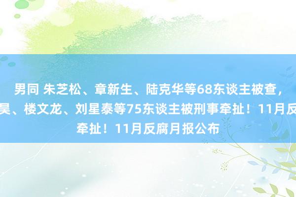 男同 朱芝松、章新生、陆克华等68东谈主被查，唐仁健、王昊、楼文龙、刘星泰等75东谈主被刑事牵扯！11月反腐月报公布