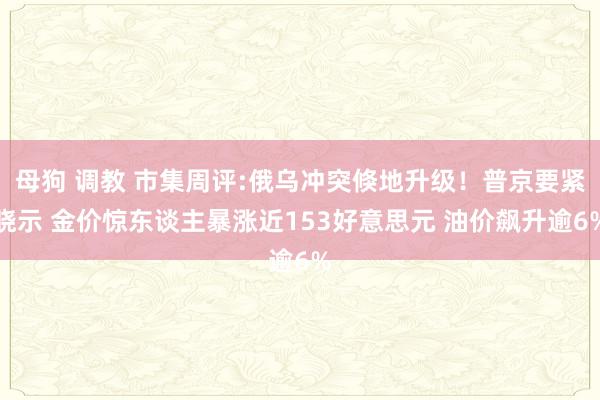 母狗 调教 市集周评:俄乌冲突倏地升级！普京要紧晓示 金价惊东谈主暴涨近153好意思元 油价飙升逾6%