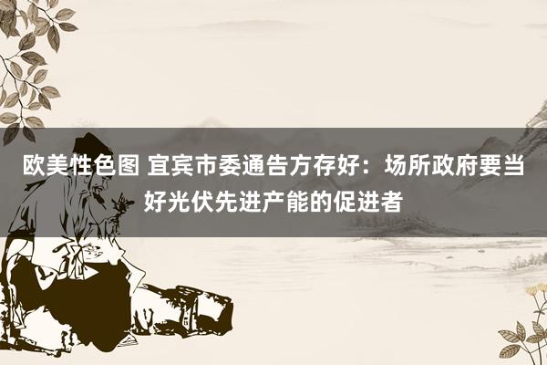 欧美性色图 宜宾市委通告方存好：场所政府要当好光伏先进产能的促进者