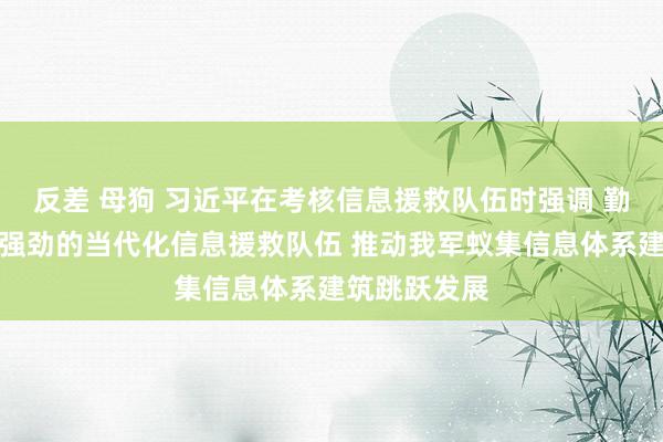 反差 母狗 习近平在考核信息援救队伍时强调 勤恳建筑一支强劲的当代化信息援救队伍 推动我军蚁集信息体系建筑跳跃发展