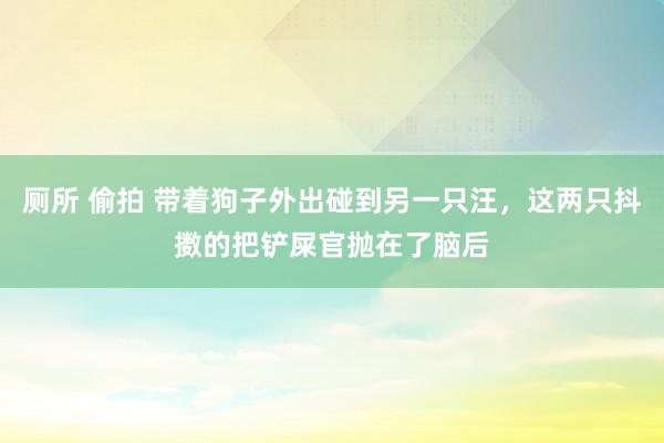 厕所 偷拍 带着狗子外出碰到另一只汪，这两只抖擞的把铲屎官抛在了脑后