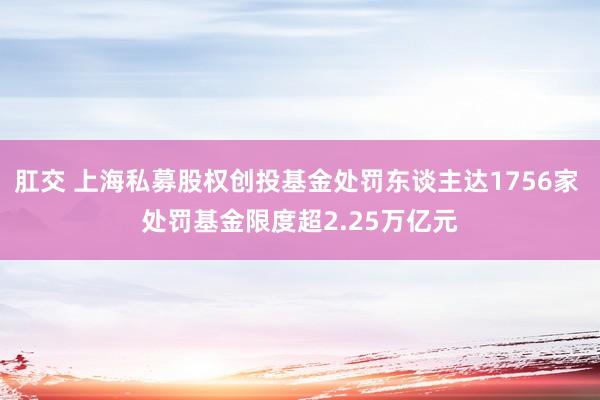 肛交 上海私募股权创投基金处罚东谈主达1756家 处罚基金限度超2.25万亿元