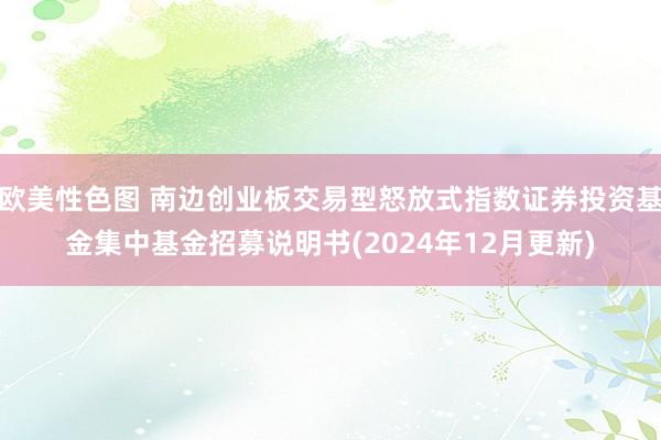 欧美性色图 南边创业板交易型怒放式指数证券投资基金集中基金招募说明书(2024年12月更新)