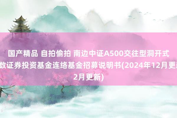 国产精品 自拍偷拍 南边中证A500交往型洞开式指数证券投资基金连络基金招募说明书(2024年12月更新)