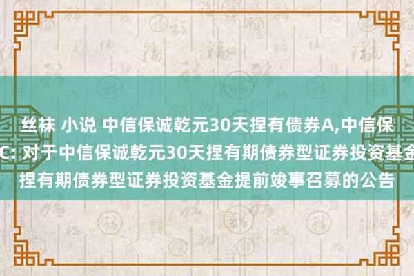 丝袜 小说 中信保诚乾元30天捏有债券A，中信保诚乾元30天捏有债券C: 对于中信保诚乾元30天捏有期债券型证券投资基金提前竣事召募的公告