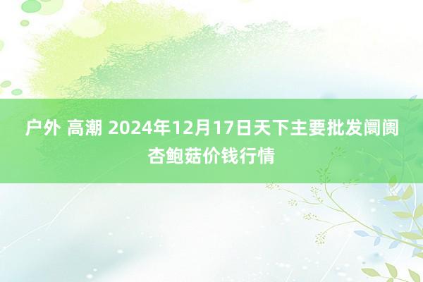 户外 高潮 2024年12月17日天下主要批发阛阓杏鲍菇价钱行情