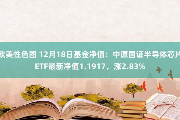 欧美性色图 12月18日基金净值：中原国证半导体芯片ETF最新净值1.1917，涨2.83%