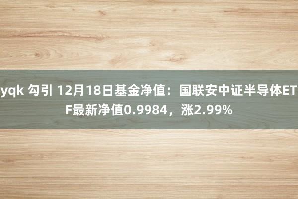 yqk 勾引 12月18日基金净值：国联安中证半导体ETF最新净值0.9984，涨2.99%