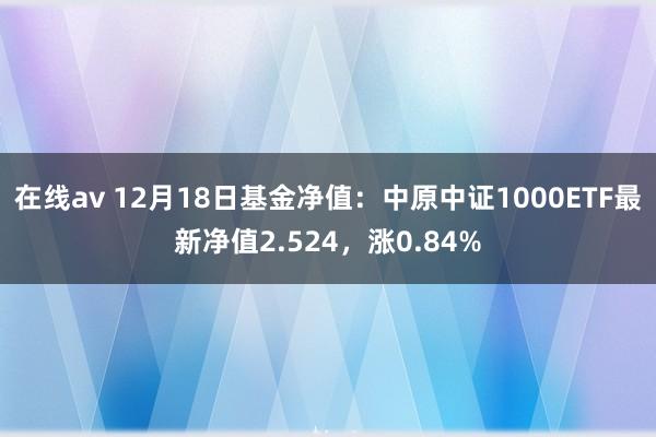 在线av 12月18日基金净值：中原中证1000ETF最新净值2.524，涨0.84%