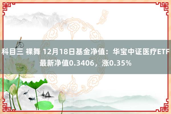 科目三 裸舞 12月18日基金净值：华宝中证医疗ETF最新净值0.3406，涨0.35%