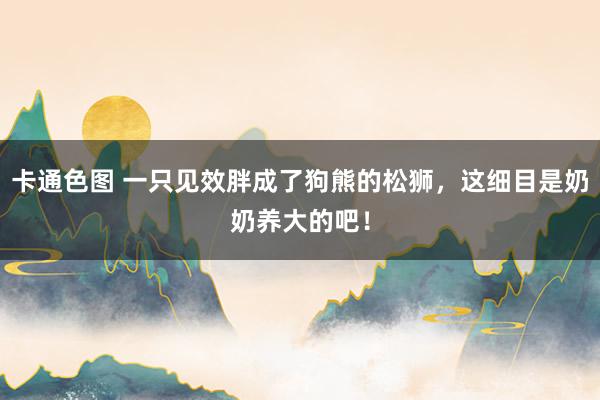 卡通色图 一只见效胖成了狗熊的松狮，这细目是奶奶养大的吧！