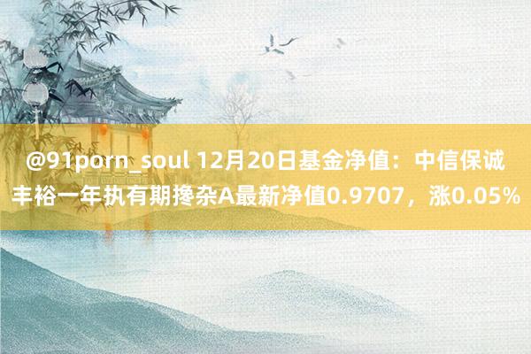 @91porn_soul 12月20日基金净值：中信保诚丰裕一年执有期搀杂A最新净值0.9707，涨0.05%