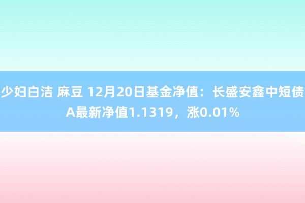 少妇白洁 麻豆 12月20日基金净值：长盛安鑫中短债A最新净值1.1319，涨0.01%