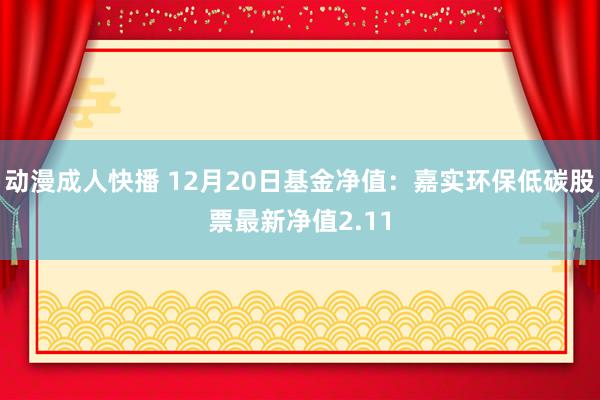 动漫成人快播 12月20日基金净值：嘉实环保低碳股票最新净值2.11