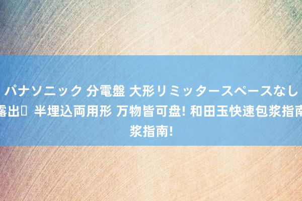 パナソニック 分電盤 大形リミッタースペースなし 露出・半埋込両用形 万物皆可盘! 和田玉快速包浆指南!