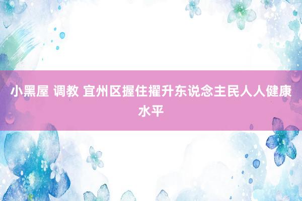 小黑屋 调教 宜州区握住擢升东说念主民人人健康水平