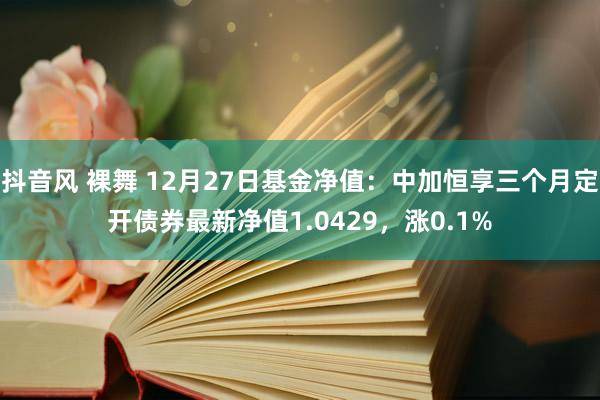 抖音风 裸舞 12月27日基金净值：中加恒享三个月定开债券最新净值1.0429，涨0.1%