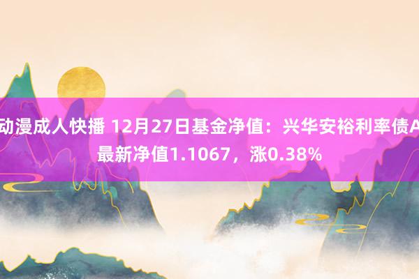 动漫成人快播 12月27日基金净值：兴华安裕利率债A最新净值1.1067，涨0.38%