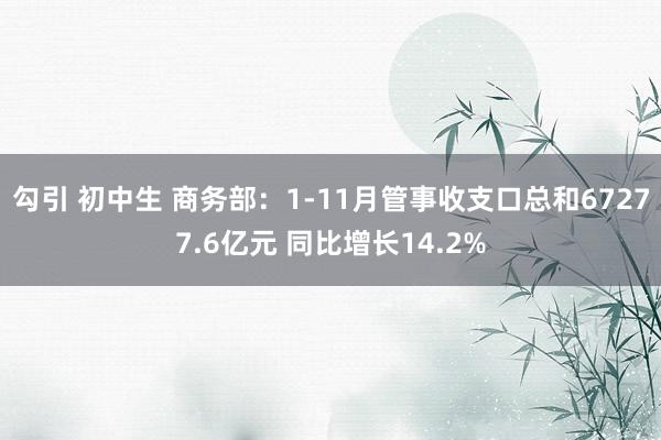 勾引 初中生 商务部：1-11月管事收支口总和67277.6亿元 同比增长14.2%