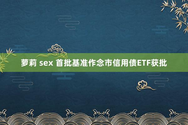 萝莉 sex 首批基准作念市信用债ETF获批