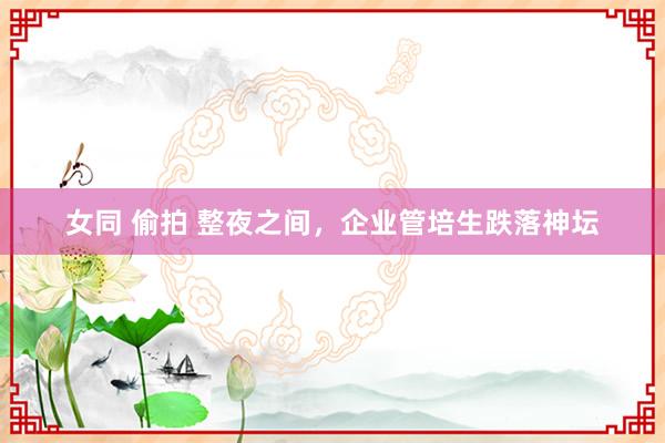 女同 偷拍 整夜之间，企业管培生跌落神坛